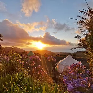  Luxury tent Free Canari - Los Alamos 8 Spain